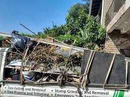 Best Shed Removal  in Gladewater, TX